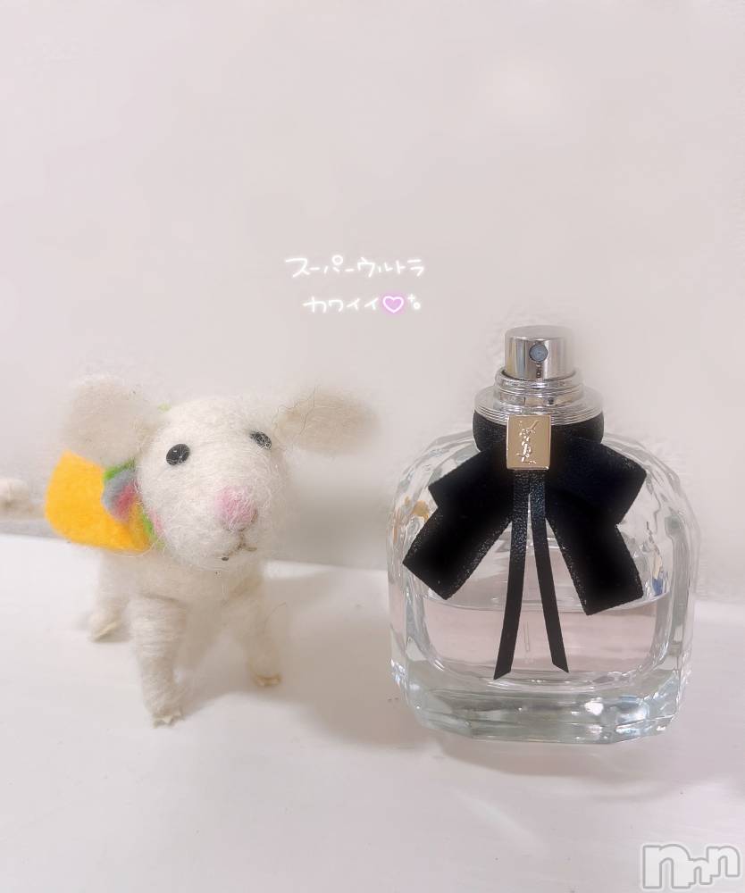 ʥå륺СVeronica-˥-(˥) 228̥֥ᵯ