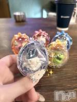 ʥå륺СVeronica-˥-(˥) 1114̥֥־ʤá