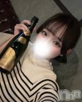 ����������ʥå��������륺�С�Veronica-�������˥�-(�������˥�) ��������3��5���̥�֥����ֶⱿ🆙��