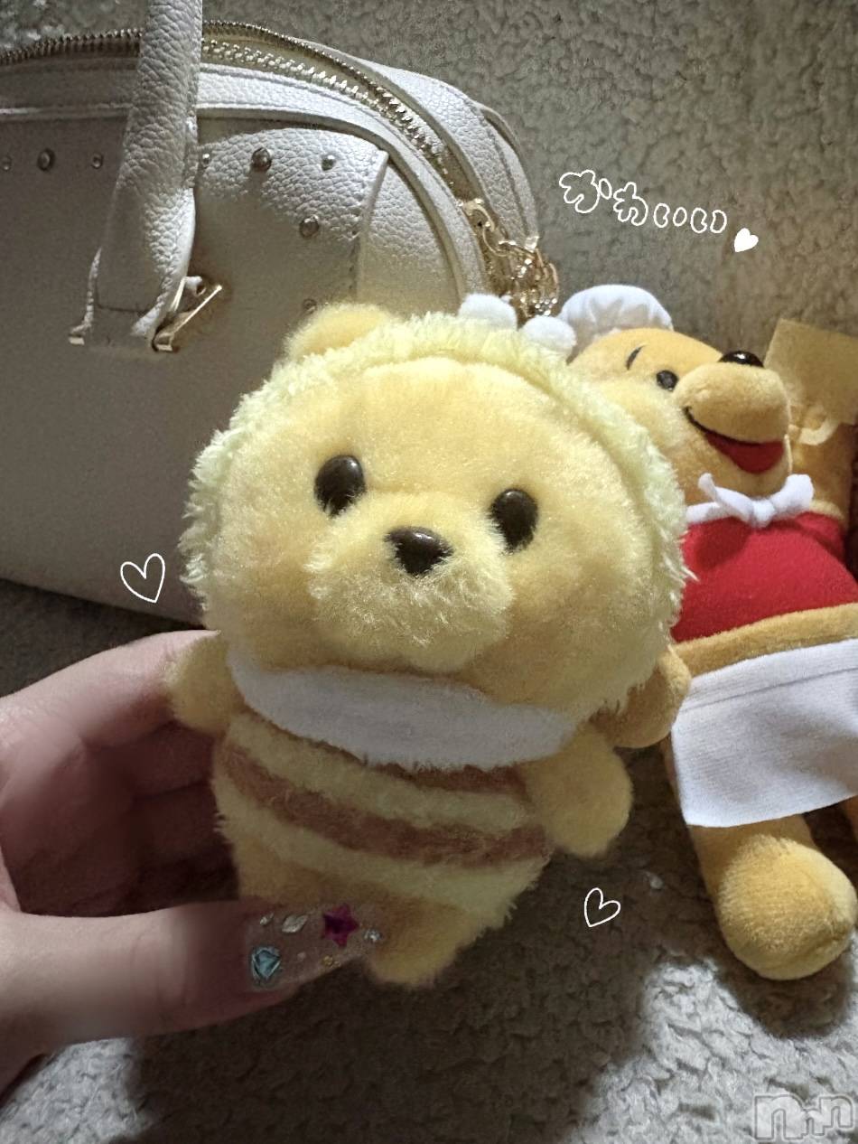 ʥå륺СVeronica-˥-(˥) 2025ǯ818̥֥֤