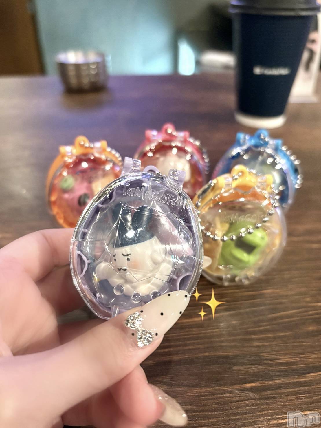 ʥå륺СVeronica-˥-(˥) 2025ǯ1114̥֥־ʤá