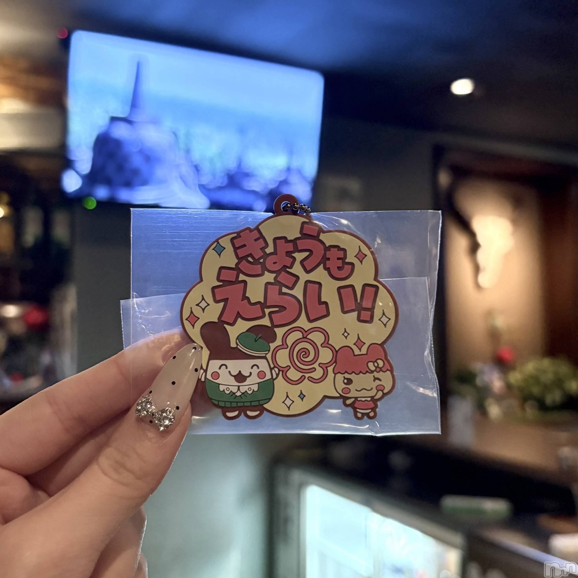 ʥå륺СVeronica-˥-(˥) 2025ǯ1116̥֥˫줿