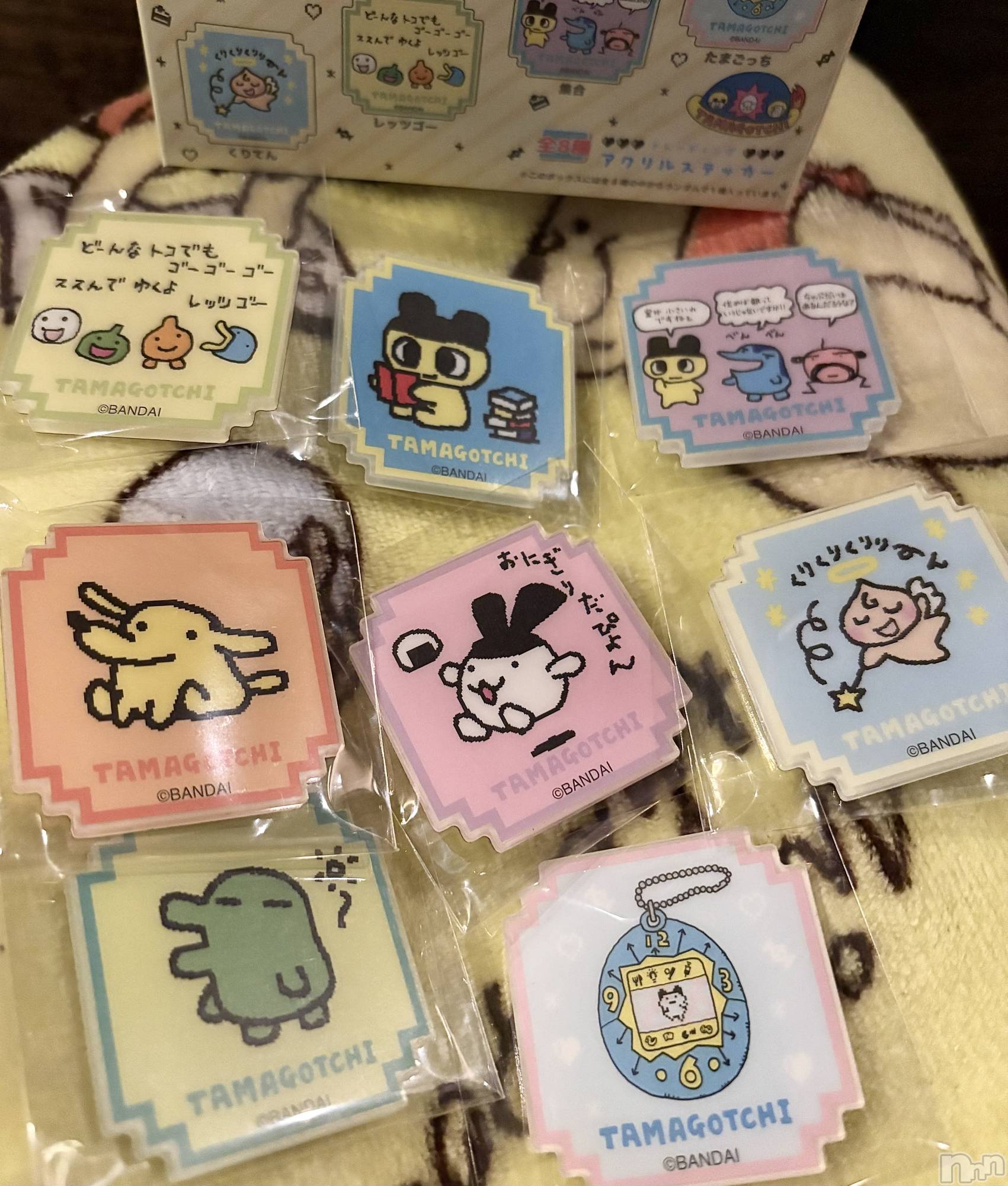 ʥå륺СVeronica-˥-(˥) 2025ǯ125̥֥֤⤦🥲