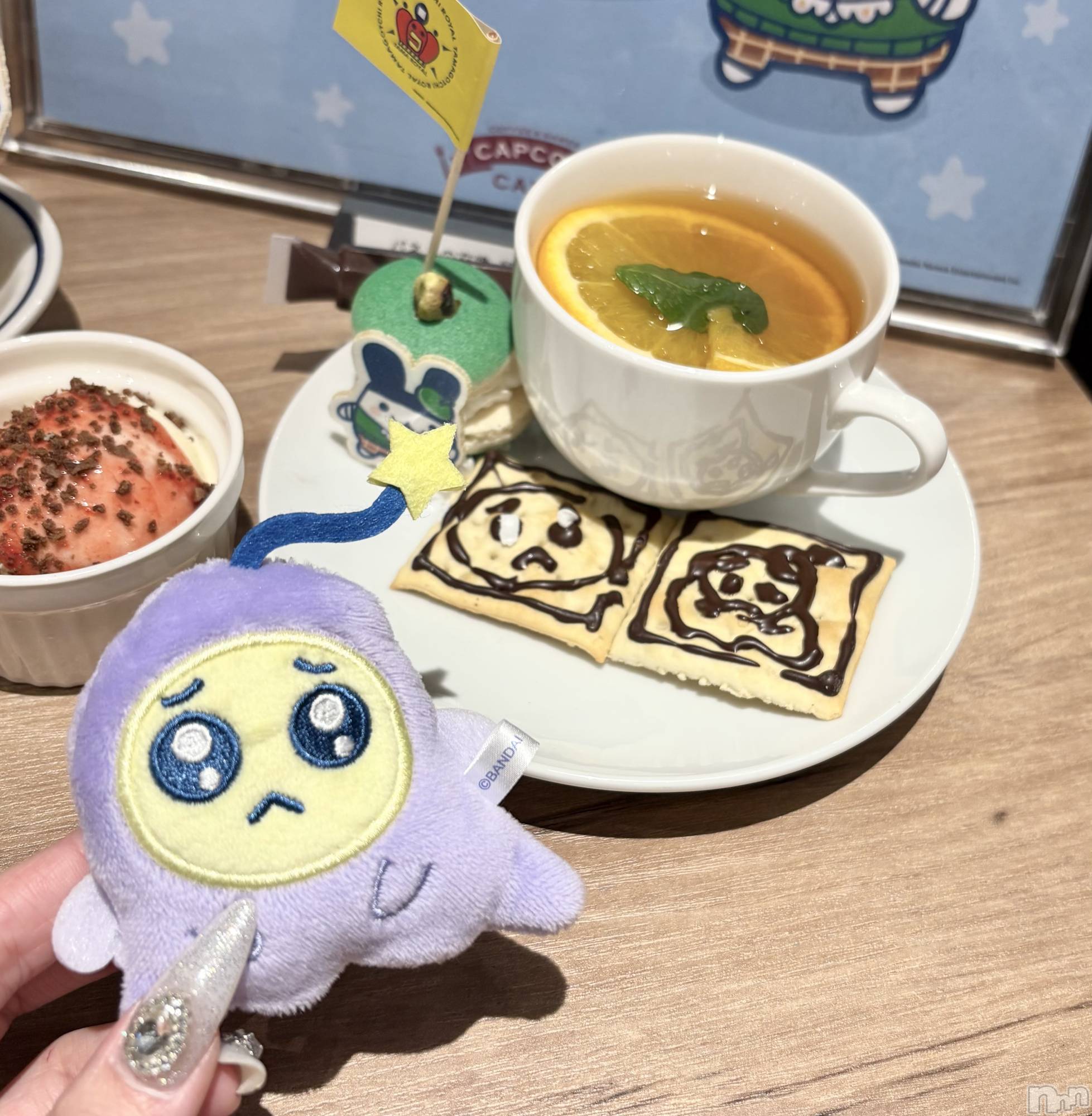 ����������ʥå��������륺�С�Veronica-�������˥�-(�������˥�) ��2026ǯ2��13���̥�֥����֤���������