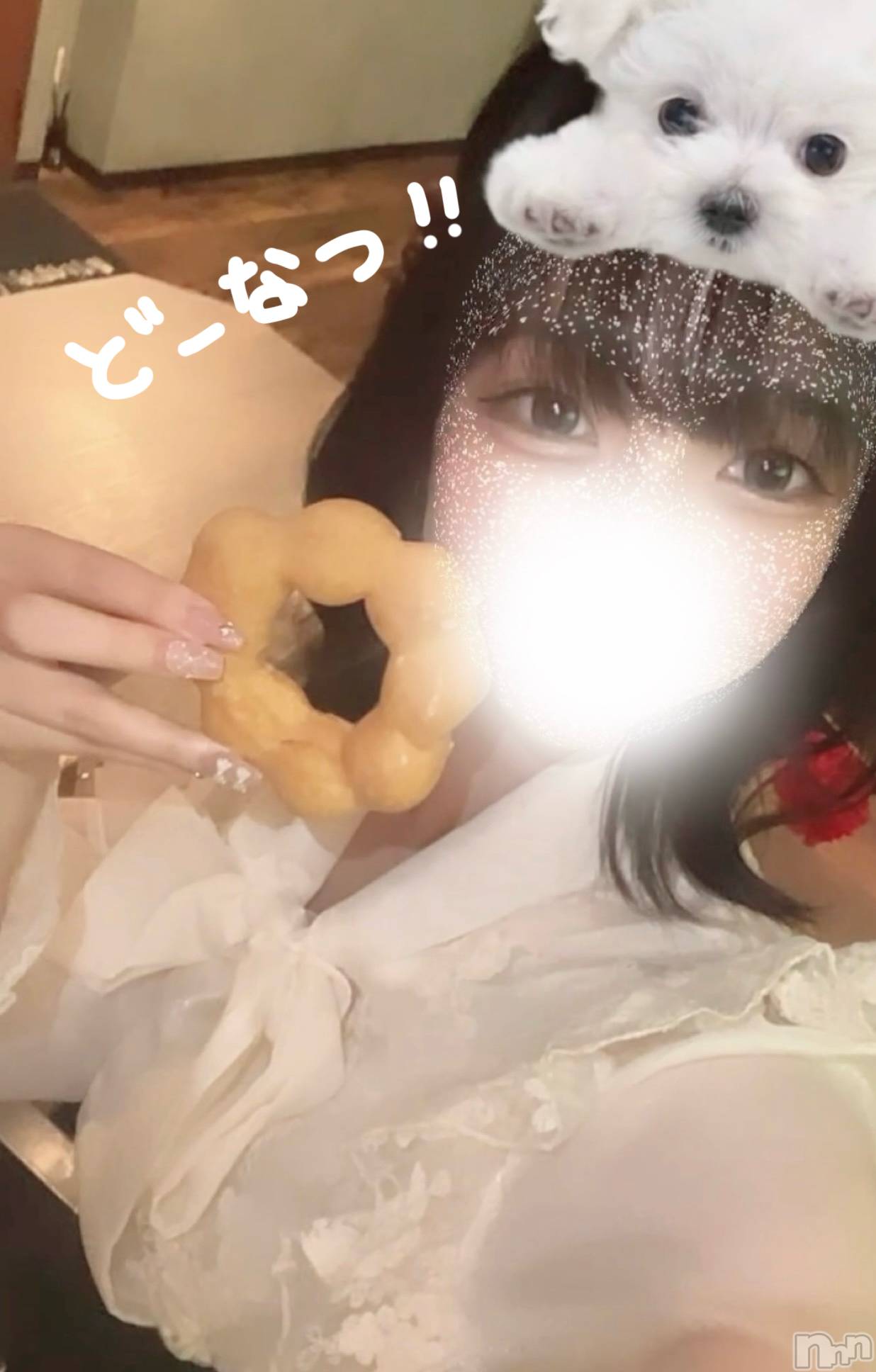 ʥå륺СVeronica-˥-(˥) 2024ǯ630̥֥־Ƥݥǥ󥰿٤