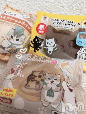 ʥå륺СVeronica-˥-(˥) 223̥֥֤ͤ🐱ྀི