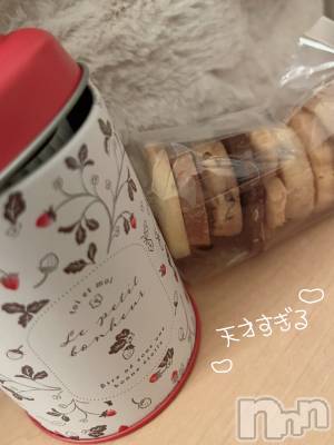 ʥå륺СVeronica-˥-(˥) 224ֽ̥֥Ϥβ👸🏻