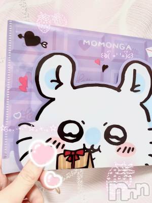 ʥå륺СVeronica-˥-(˥) 312̥֥꒰՞o̴̶̷̤ᾥo̴̶̷̤՞꒱