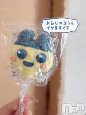ʥå륺СVeronica-˥-(˥) 427ֲ̥֥ >