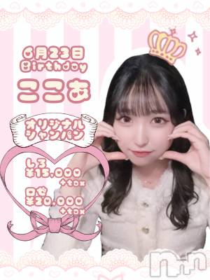 ʥå륺СVeronica-˥-(˥) 67̥֥֤ͤ(՞ ᴗ  ̫ ᴗ՞)