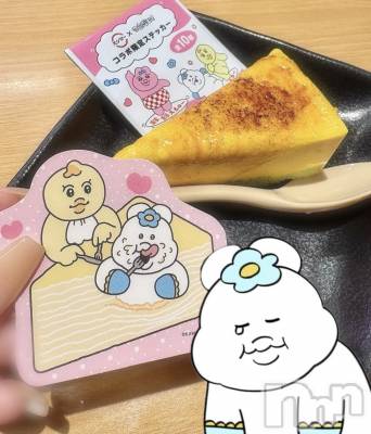 ʥå륺СVeronica-˥-(˥) 1026̥֥֤ࡢ😢