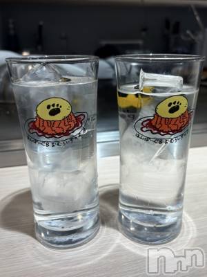 ʥå륺СVeronica-˥-(˥) 1030̥֥Ǻޤ