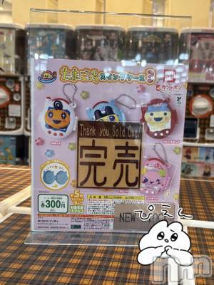 ʥå륺СVeronica-˥-(˥) 112̥֥֥㥬η◓