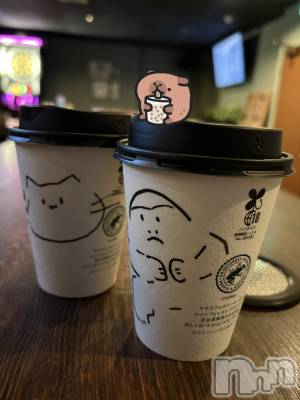 ʥå륺СVeronica-˥-(˥) 1120̥֥֥ݡե