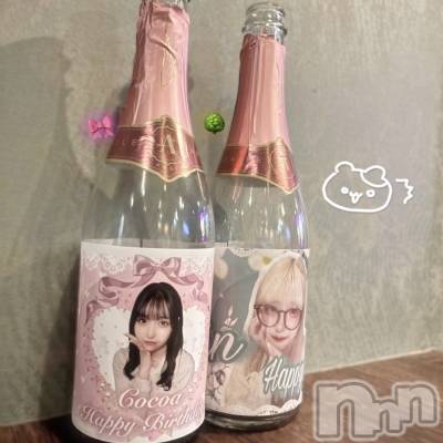 ʥå륺СVeronica-˥-(˥) 1122̥֥֤ݤá