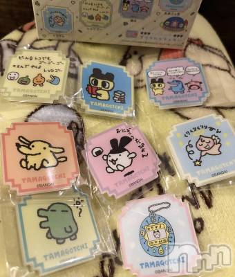 ����������ʥå��������륺�С�Veronica-�������˥�-(�������˥�) ��������12��5���̥�֥����֤⤦����🥲��