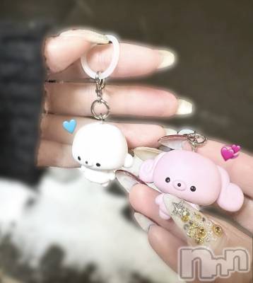 ����������ʥå��������륺�С�Veronica-�������˥�-(�������˥�) ��������1��2���̥�֥����֤פ������