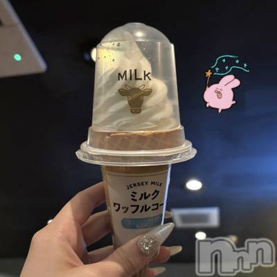 ����������ʥå��������륺�С�Veronica-�������˥�-(�������˥�) ��������1��8���̥�֥����ֹ������Թ��ϼ�«�����