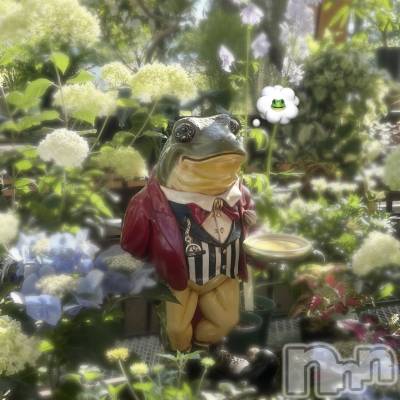 ����������ʥå��������륺�С�Veronica-�������˥�-(�������˥�) ��������7��29���̥�֥�����̵���϶�ʪ��