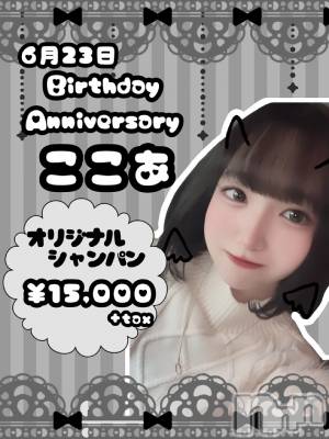 ʥå륺СVeronica-˥-(˥) 614̥֥֤塼⤯🧏🏻‍️🤍