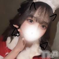 ʥå륺С Veronica-˥-(˥) β(2)