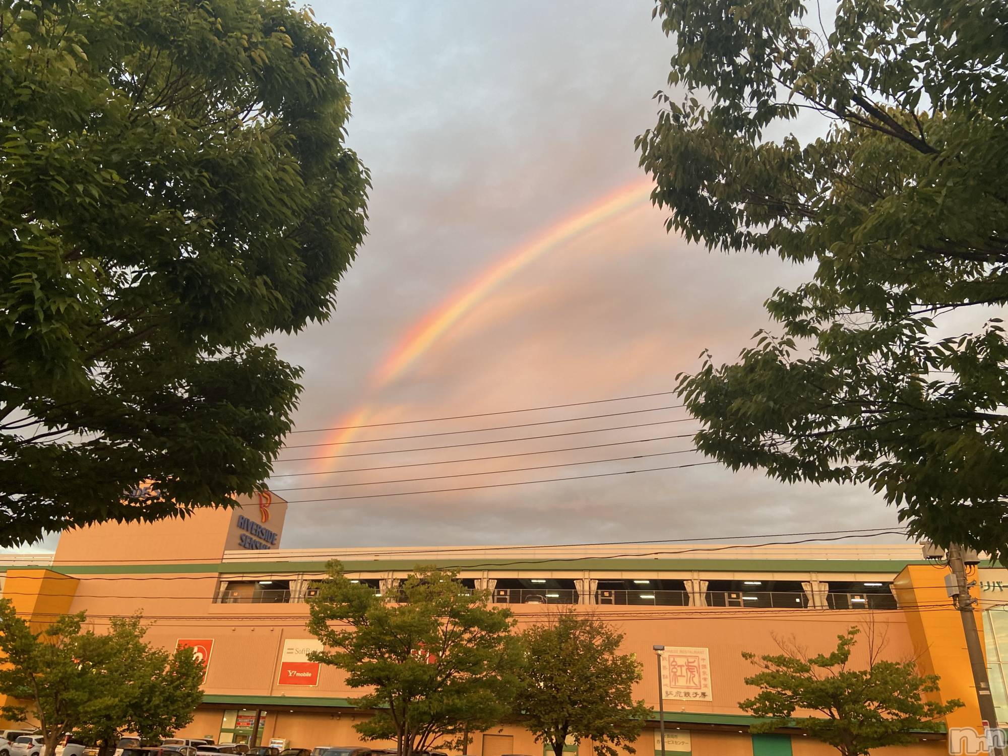 Įʥå륺СL'asile(饸) 2023ǯ818̥֥🌈