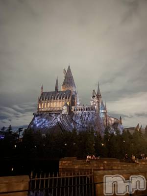 Įʥå륺СL'asile(饸) (20)928̥֥֥˥С