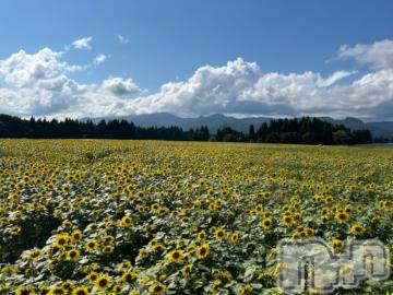 三条デリヘル新潟デリヘル倶楽部　三条店(ニイガタデリヘルクラブ　サンジョウテン) かな(21)の8月9日写メブログ「ひまわり畑🌻」