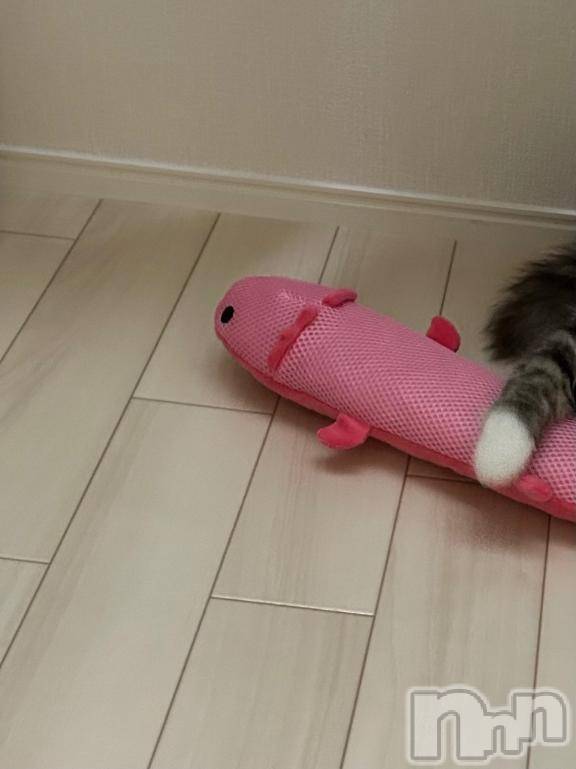 三条デリヘル新潟デリヘル倶楽部　三条店(ニイガタデリヘルクラブ　サンジョウテン) かな(21)の2月15日写メブログ「一人暮らし卒業」