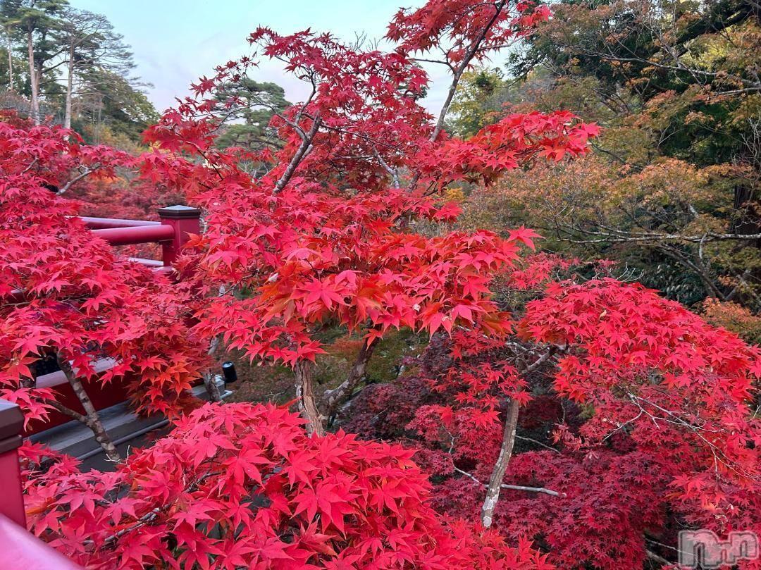 三条デリヘル新潟デリヘル倶楽部　三条店(ニイガタデリヘルクラブ　サンジョウテン)かな(21)の2024年11月16日写メブログ「2年越しに」