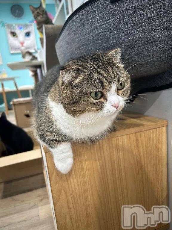 三条デリヘル新潟デリヘル倶楽部　三条店(ニイガタデリヘルクラブ　サンジョウテン)かな(21)の2026年2月12日写メブログ「実は浮気しちゃってました」