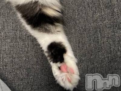 三条デリヘル 新潟デリヘル倶楽部　三条店(ニイガタデリヘルクラブ　サンジョウテン) かな(21)の4月3日写メブログ「嘘つき」