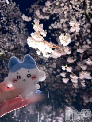 三条デリヘル 新潟デリヘル倶楽部　三条店(ニイガタデリヘルクラブ　サンジョウテン) かな(21)の4月24日写メブログ「早起き頑張るよ✊🏻」