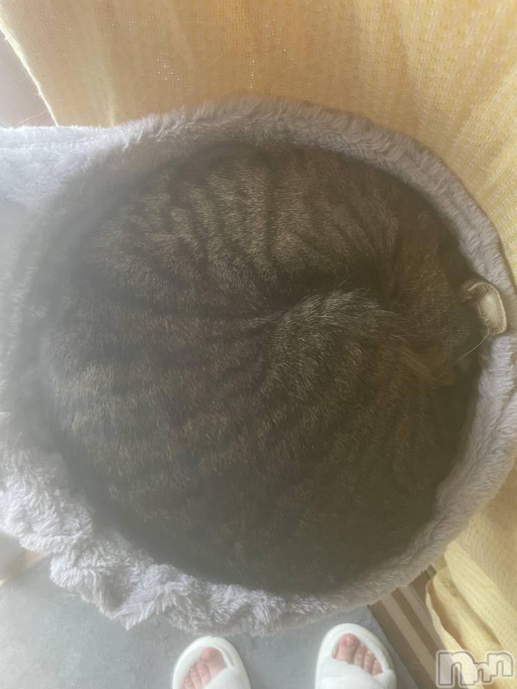 Įʥå륺СL'asile(饸) ʤʤ46̥֥🐱