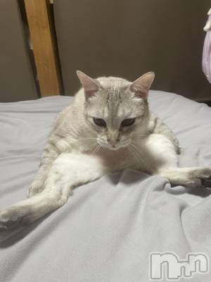 Įʥå륺СL'asile(饸) ʤ(24)114̥֥֤ˤ