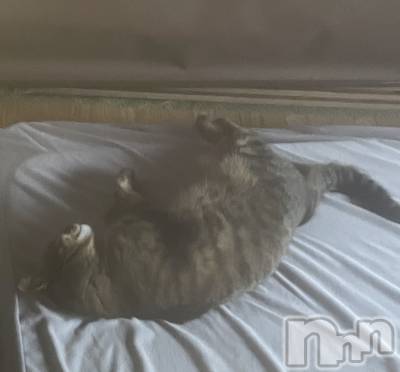 Įʥå륺СL'asile(饸) ʤ(24)77̥֥֥復Ǥ