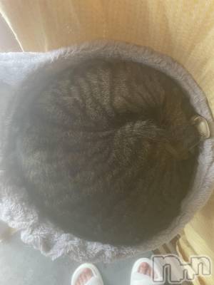 Įʥå륺СL'asile(饸) ʤ(24)46̥֥🐱