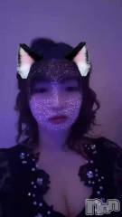 ˬХ顦  ץ ˬ( ץ )   Ϥ527ư🐈🐾