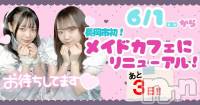 ĮåȥСᥤɥե ͤ529̥֥3ˤϡ^.ˬ.^