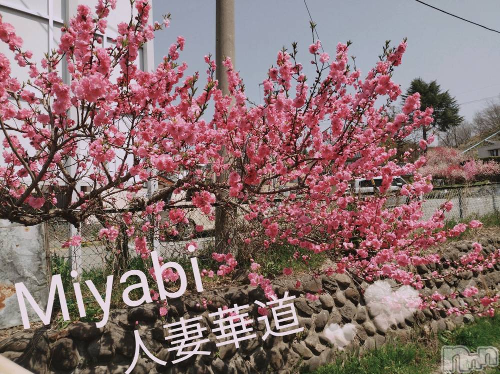 上田発人妻デリヘル人妻華道 上田店(ヒトヅマハナミチウエダテン) 【体験】みやび(36)の4月17日写メブログ「こんばんは」
