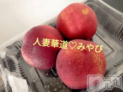上田発デリヘル 人妻華道 上田店(ヒトヅマハナミチウエダテン) 【体験】みやび(36)の7月31日写メブログ「ネクタリンって…」
