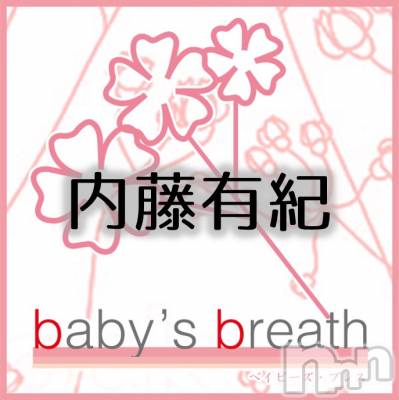 󥺥 baby's breath(٥ӡ ֥쥹) ƣͭβ(1)