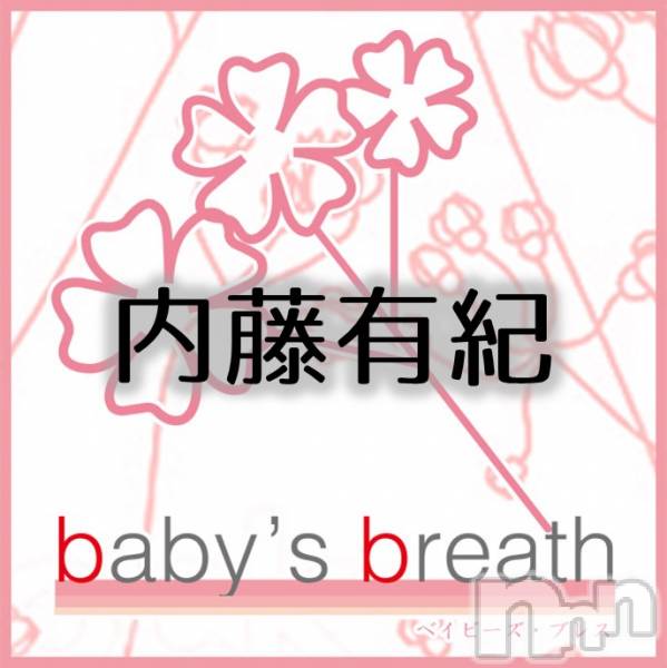 󥺥baby's breath(٥ӡ ֥쥹) ƣͭ523̥֥֤ꤤޤƣͭǤ