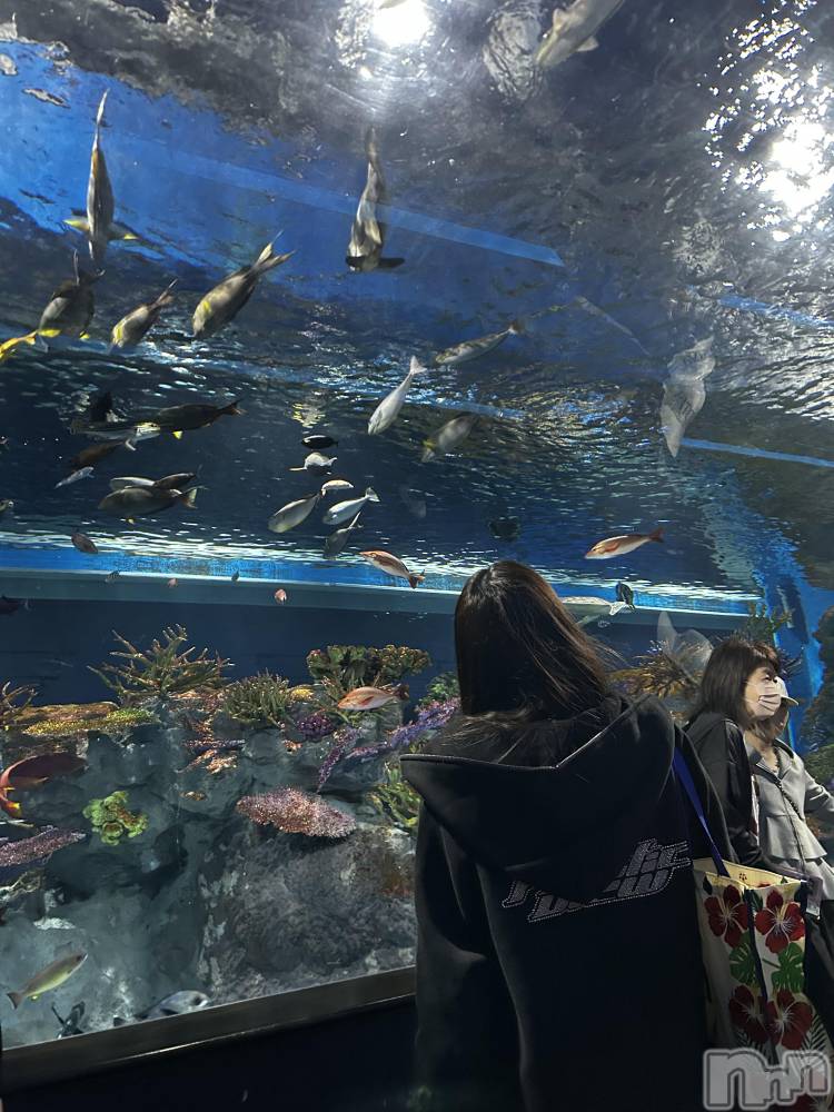 Х顦Club Calnet(֡) ʤ411̥֥🐠🫧‪