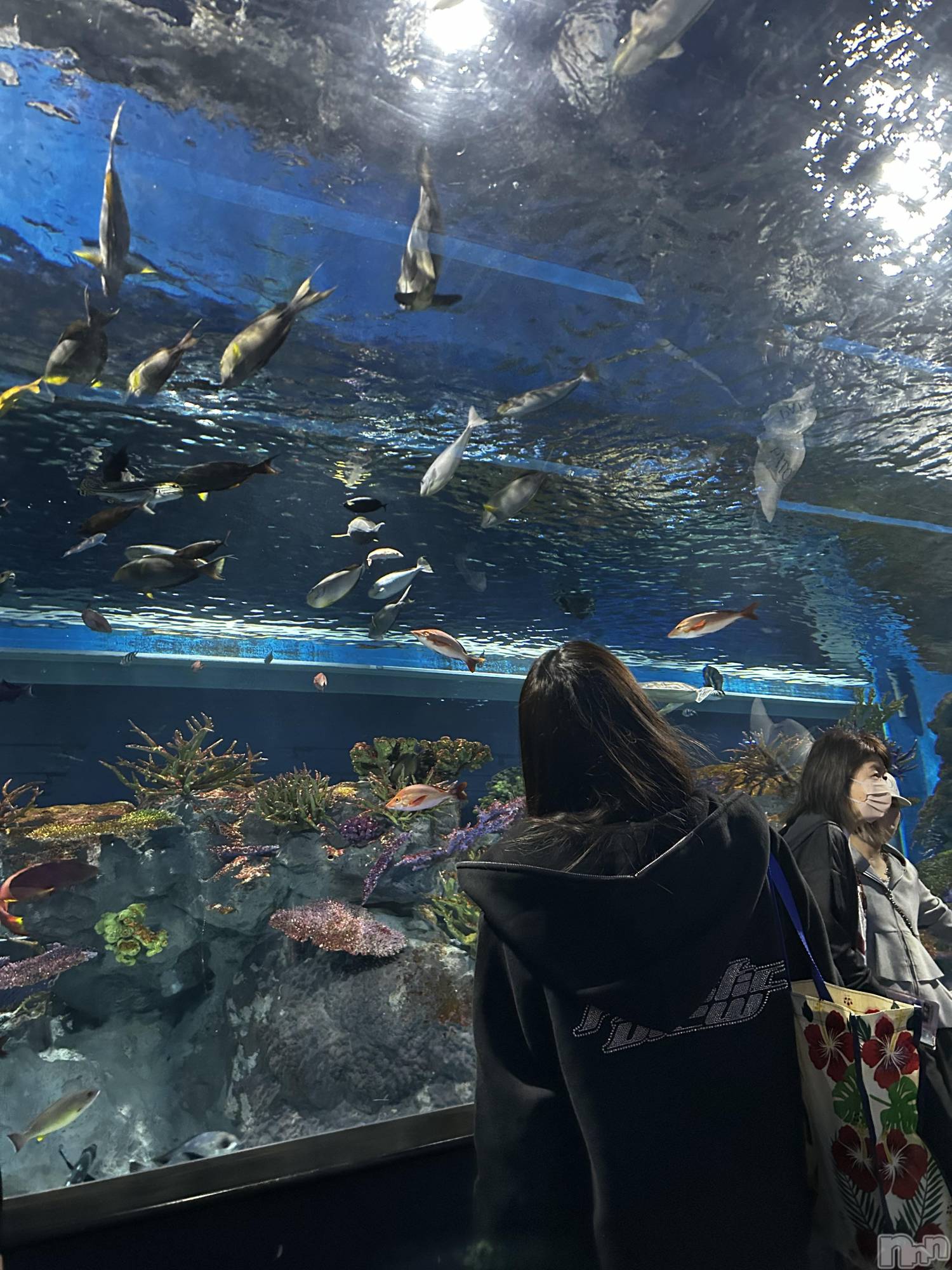 Х顦Club Calnet(֡) 2025ǯ411̥֥🐠🫧‪