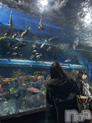 Х顦Club Calnet(֡) ʤ411̥֥🐠🫧‪
