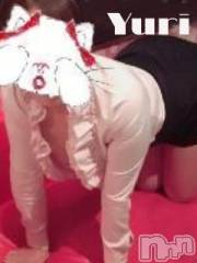 新潟デリヘルデリヘル新潟(デリヘルニイガタ)  ゆり(26)の6月7日写メブログ「19:00からです♡」