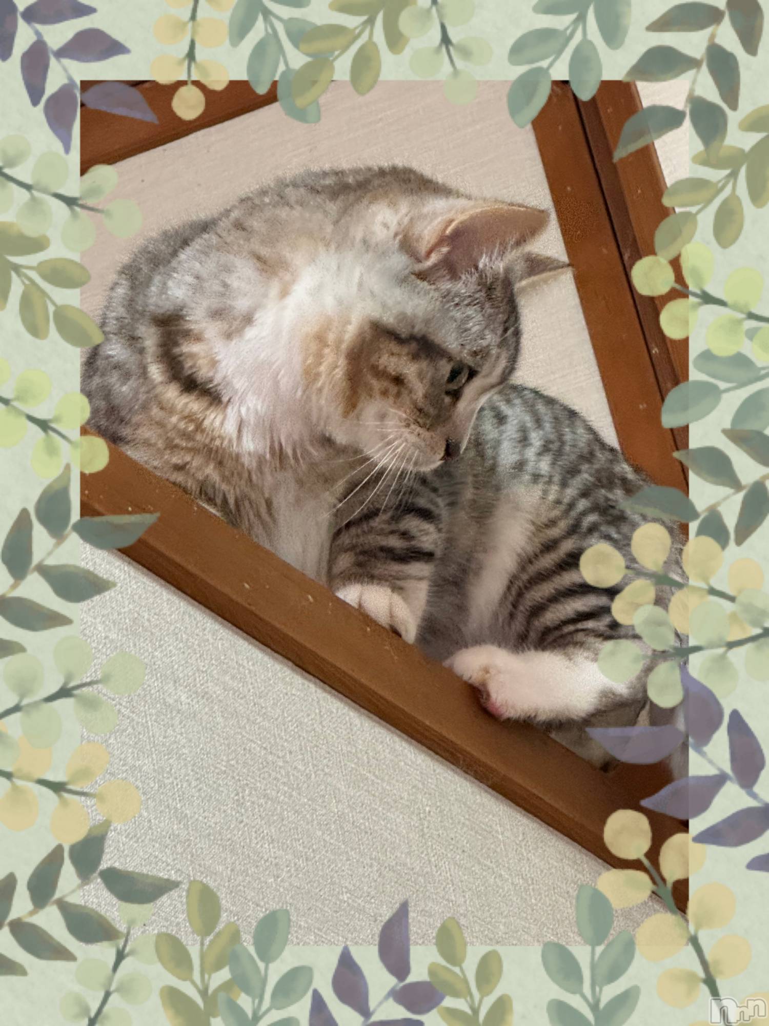 長岡デリヘル長岡風俗出張アロママッサージ(ナガオカフウゾクシュッチョウアロママッサージ)素人君も至れり尽くせり♪あきら(32)の2024年3月20日写メブログ「今週も🫶❤️」