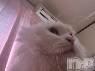 長岡デリヘル 長岡風俗出張アロママッサージ(ナガオカフウゾクシュッチョウアロママッサージ) 素人君も至れり尽くせり♪あきら(32)の6月29日写メブログ「到着しました！」