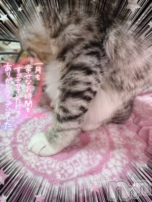 長岡デリヘル 長岡風俗出張アロママッサージ(ナガオカフウゾクシュッチョウアロママッサージ) 素人君も至れり尽くせり♪あきら(32)の2月1日写メブログ「今日から2月スタート🫶❤️」